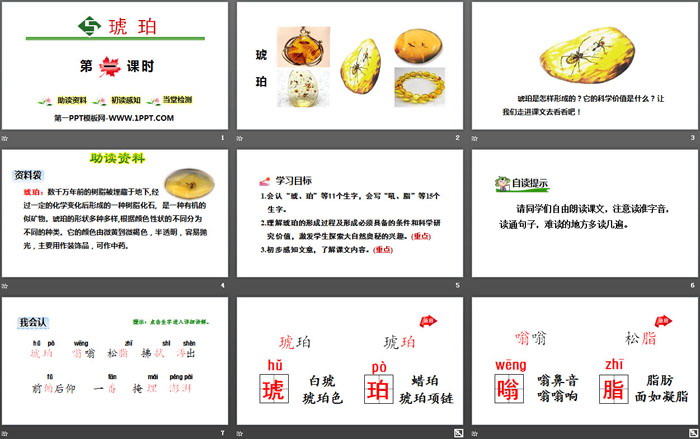 《琥珀》PPT(第一課時(shí))