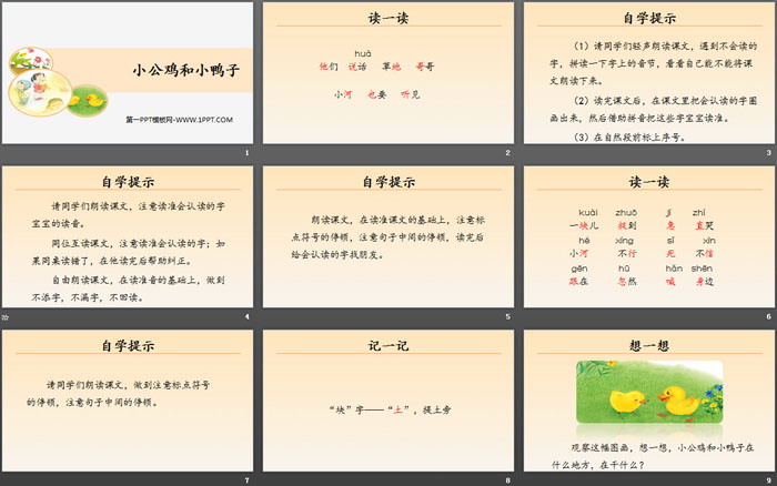 《小公雞和小鴨子》PPT教學(xué)課件