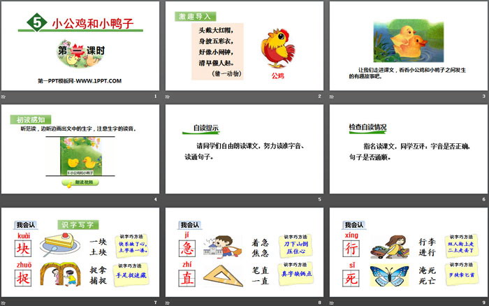 《小公雞和小鴨子》PPT(第一課時)