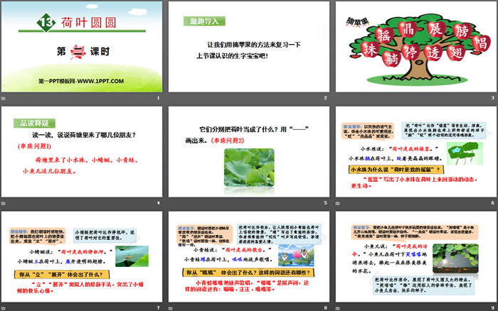 《荷葉圓圓》PPT(第二課時)