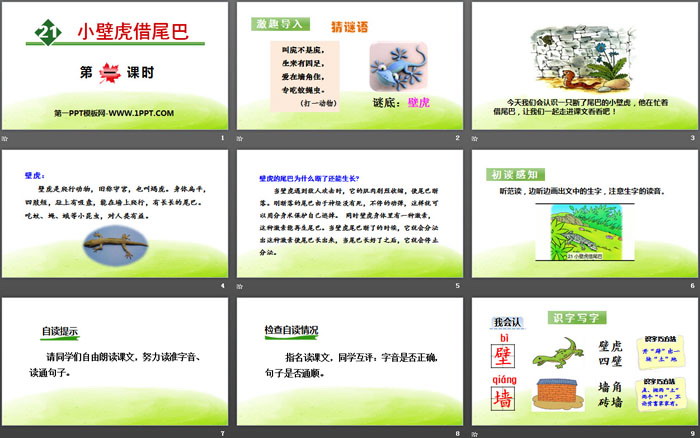 《小壁虎借尾巴》PPT(第一課時(shí))