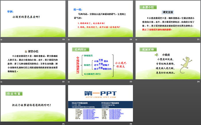 《小壁虎借尾巴》PPT(第二課時)