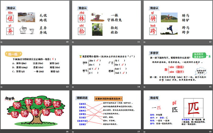 《一匹出色的馬》PPT(第一課時(shí))