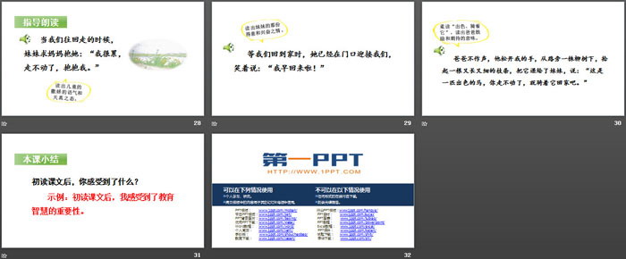 《一匹出色的馬》PPT(第一課時(shí))