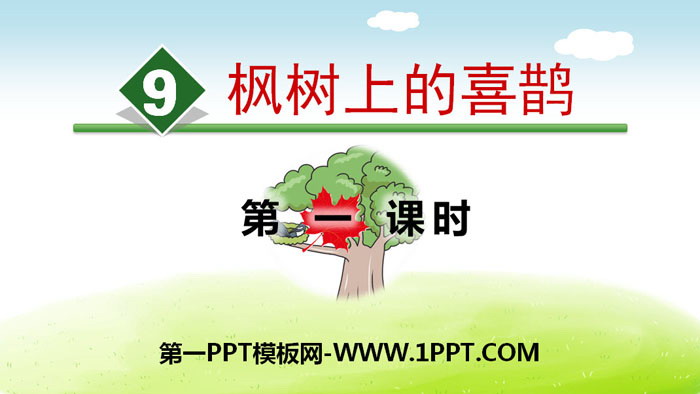 《枫树上的喜鹊》PPT(第一课时)