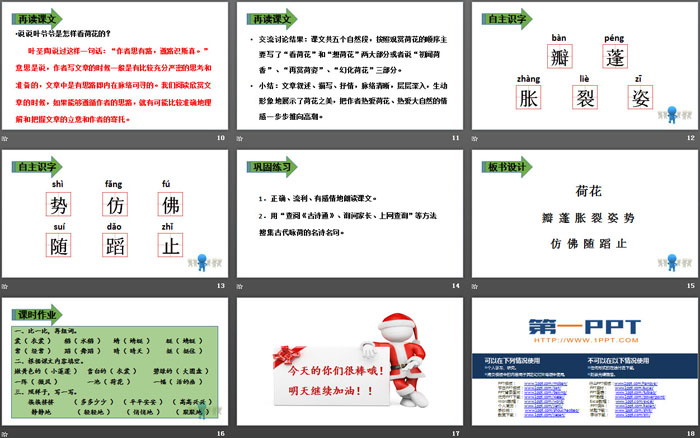 《荷花》PPT課件(第一課時(shí))