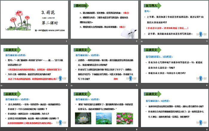 《荷花》PPT課件(第二課時(shí))