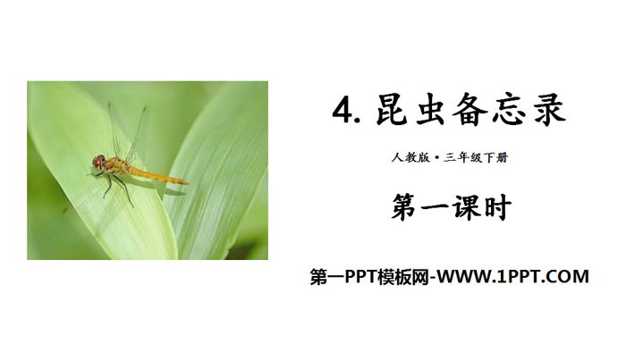 《昆虫备忘录》PPT(第一课时)