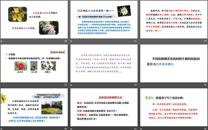 《花鐘》PPT(第二課時(shí))