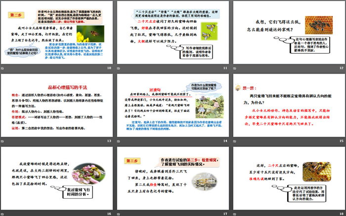 《蜜蜂》PPT(第二課時)