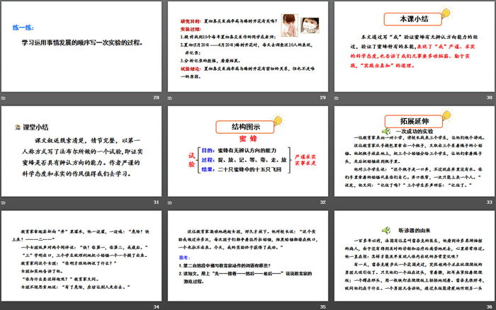 《蜜蜂》PPT(第二課時)