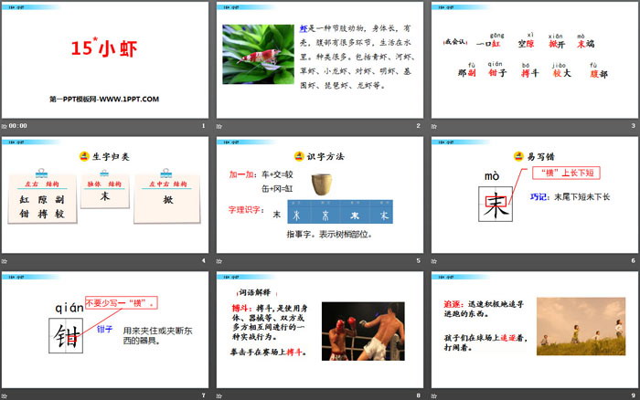 《小蝦》PPT免費(fèi)下載