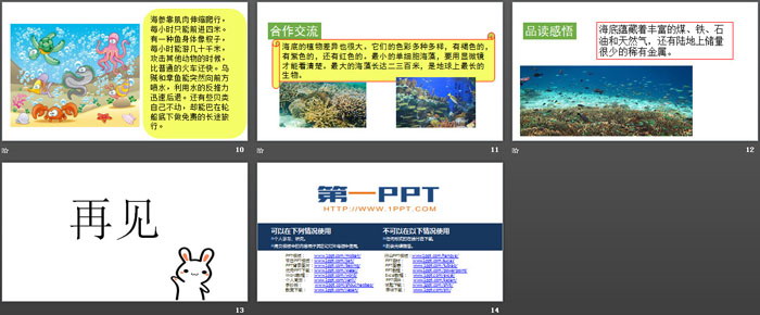 《海底世界》PPT免费课件