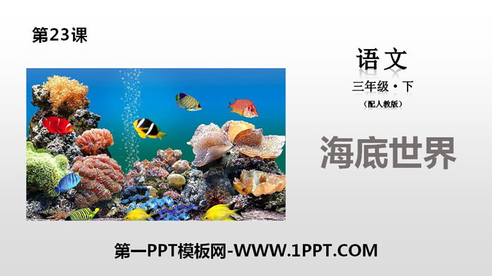 《海底世界》PPT免费下载