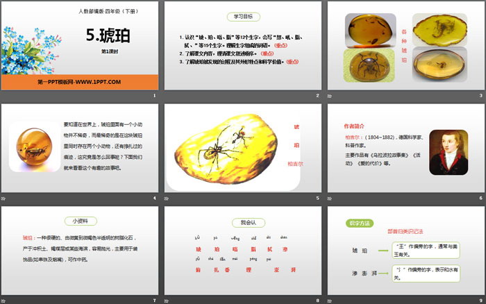 《琥珀》PPT(第1課時(shí))