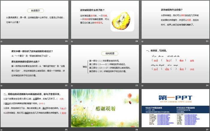 《琥珀》PPT(第1課時(shí))