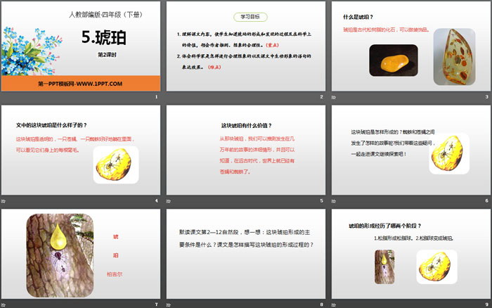 《琥珀》PPT(第2課時)