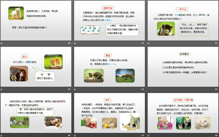 《貓》PPT(第2課時(shí))