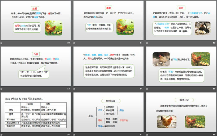 《母雞》PPT(第2課時)