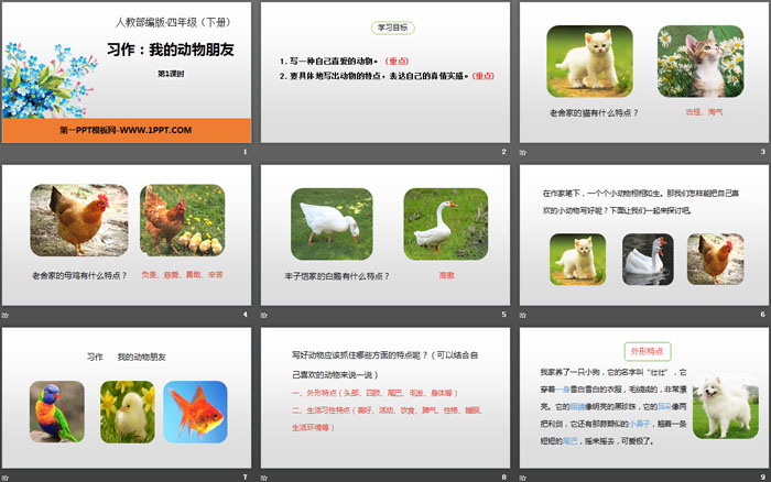 《我的動物朋友》習(xí)作PPT(第1課時)