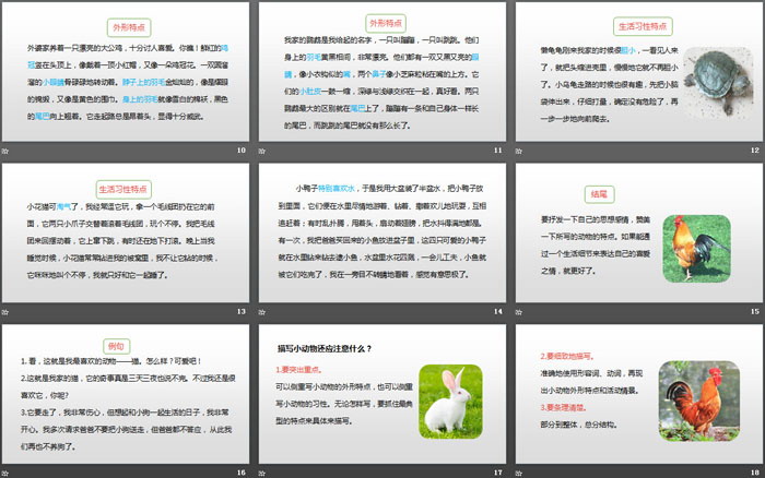 《我的動物朋友》習(xí)作PPT(第1課時)