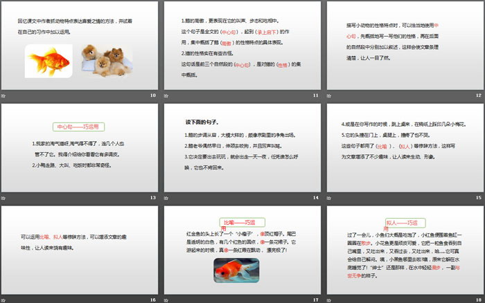 《我的動(dòng)物朋友》習(xí)作PPT(第2課時(shí))