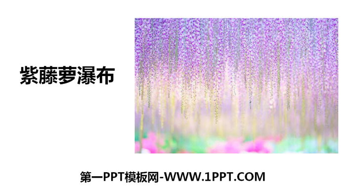 《紫藤萝瀑布》PPT免费下载
