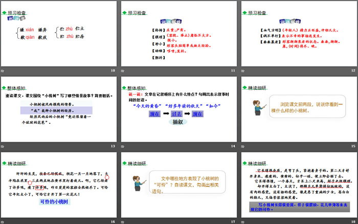 《一棵小桃樹》PPT教學(xué)課件