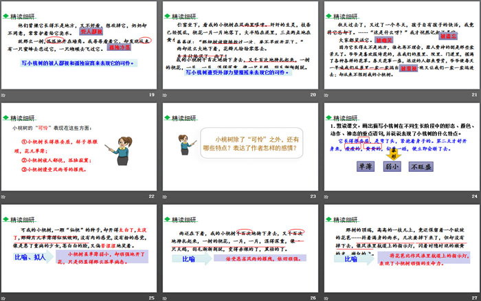 《一棵小桃樹》PPT教學(xué)課件