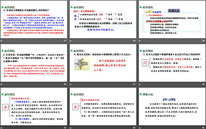 《一棵小桃樹》PPT教學(xué)課件