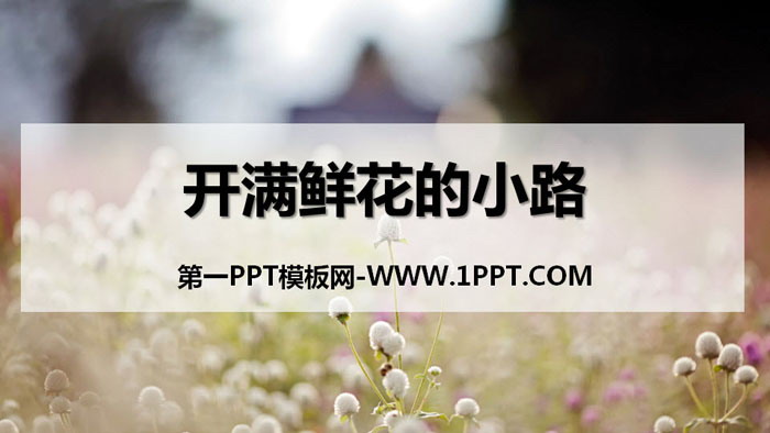《开满鲜花的小路》PPT课件下载