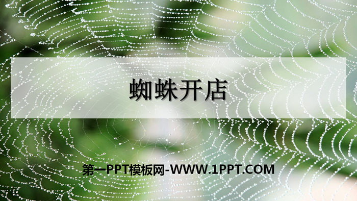 《蜘蛛开店》PPT免费课件