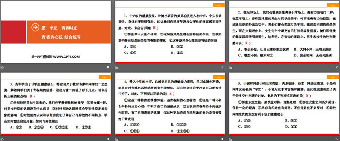 《青春的心弦》青春時(shí)光PPT(綜合練習(xí))