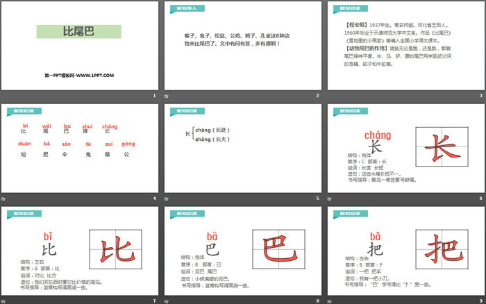 《比尾巴》PPT優(yōu)質(zhì)課件