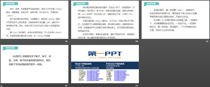 《比尾巴》PPT優(yōu)質(zhì)課件