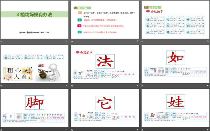 《植物媽媽有辦法》PPT優(yōu)秀課件