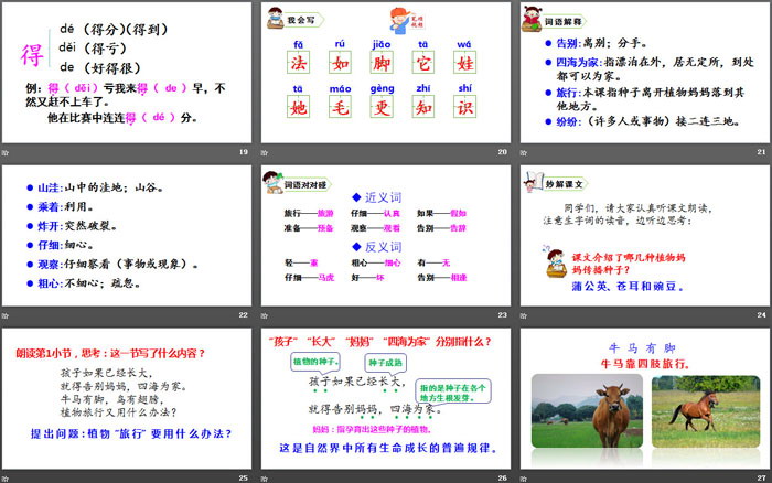 《植物媽媽有辦法》PPT優(yōu)質(zhì)課件