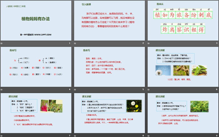 《植物媽媽有辦法》PPT精品課件