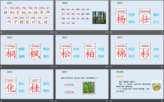 《樹之歌》PPT優(yōu)質課件