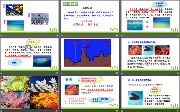 《富饒的西沙群島》PPT免費(fèi)課件