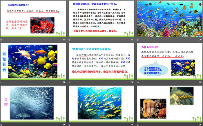 《富饒的西沙群島》PPT免費(fèi)課件