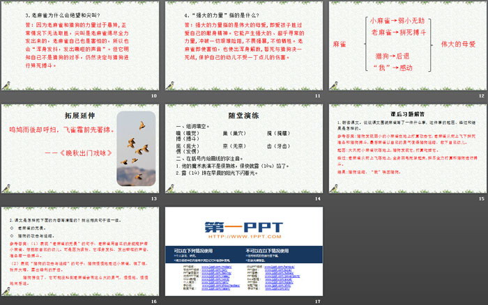 《麻雀》PPT下載