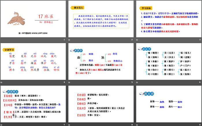 《麻雀》PPT教學(xué)課件