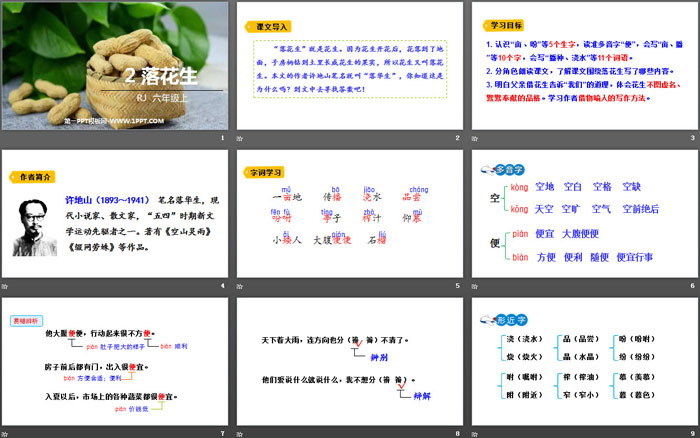 《落花生》PPT優(yōu)質(zhì)課件