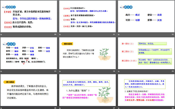 《落花生》PPT優(yōu)質(zhì)課件