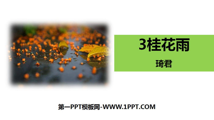 《桂花雨》PPT免费下载