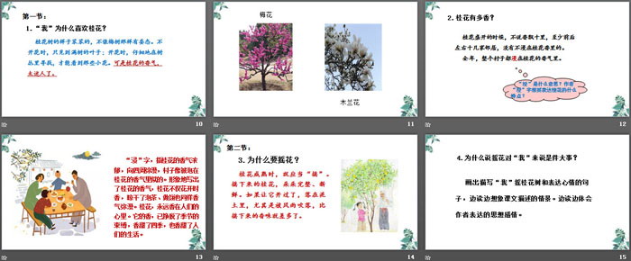 《桂花雨》PPT優(yōu)質(zhì)課件