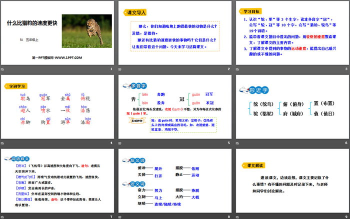 《什么比獵豹的速度更快》PPT優(yōu)質(zhì)課件