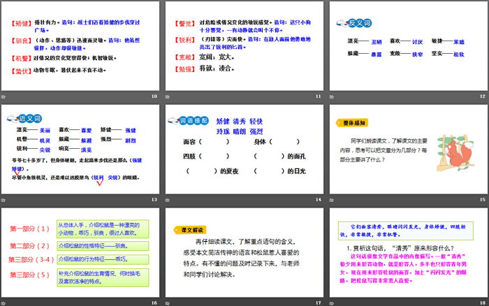 《松鼠》PPT精品課件