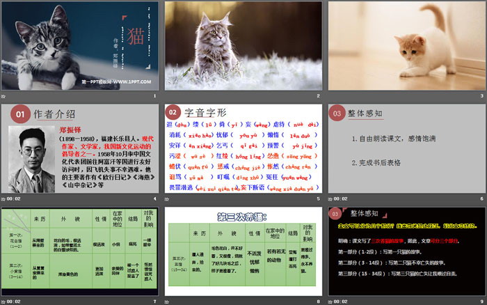 《貓》PPT優(yōu)秀課件
